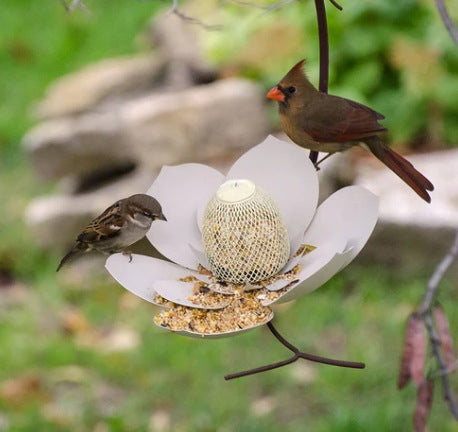 Garden Petal Shape Bird Feeder