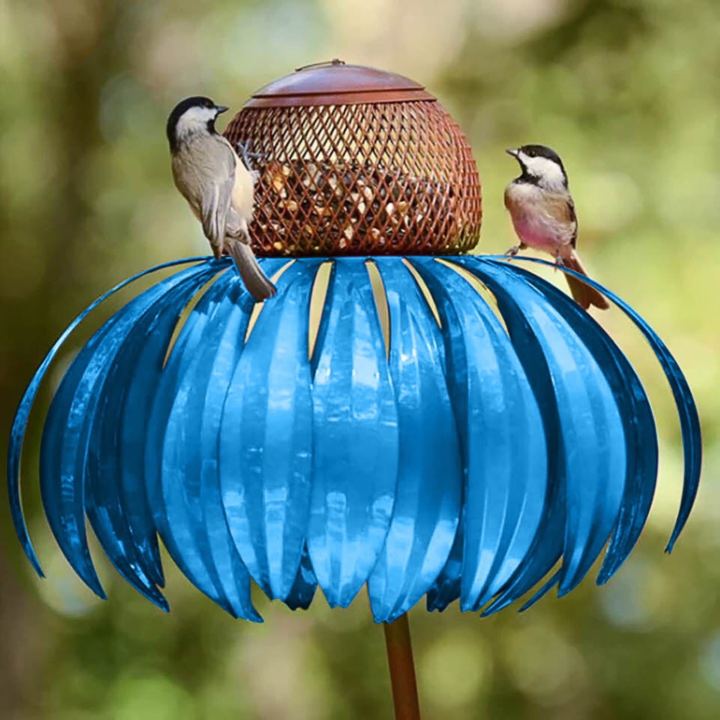 Garden Petal Shape Bird Feeder