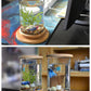 Small Office Glass Aquarium Bamboo Base Mini Fish Tank Decoration Fish Bowl