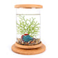 Small Office Glass Aquarium Bamboo Base Mini Fish Tank Decoration Fish Bowl