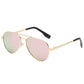 Men And Women Fashion Large Frame Polarized Sunglasses