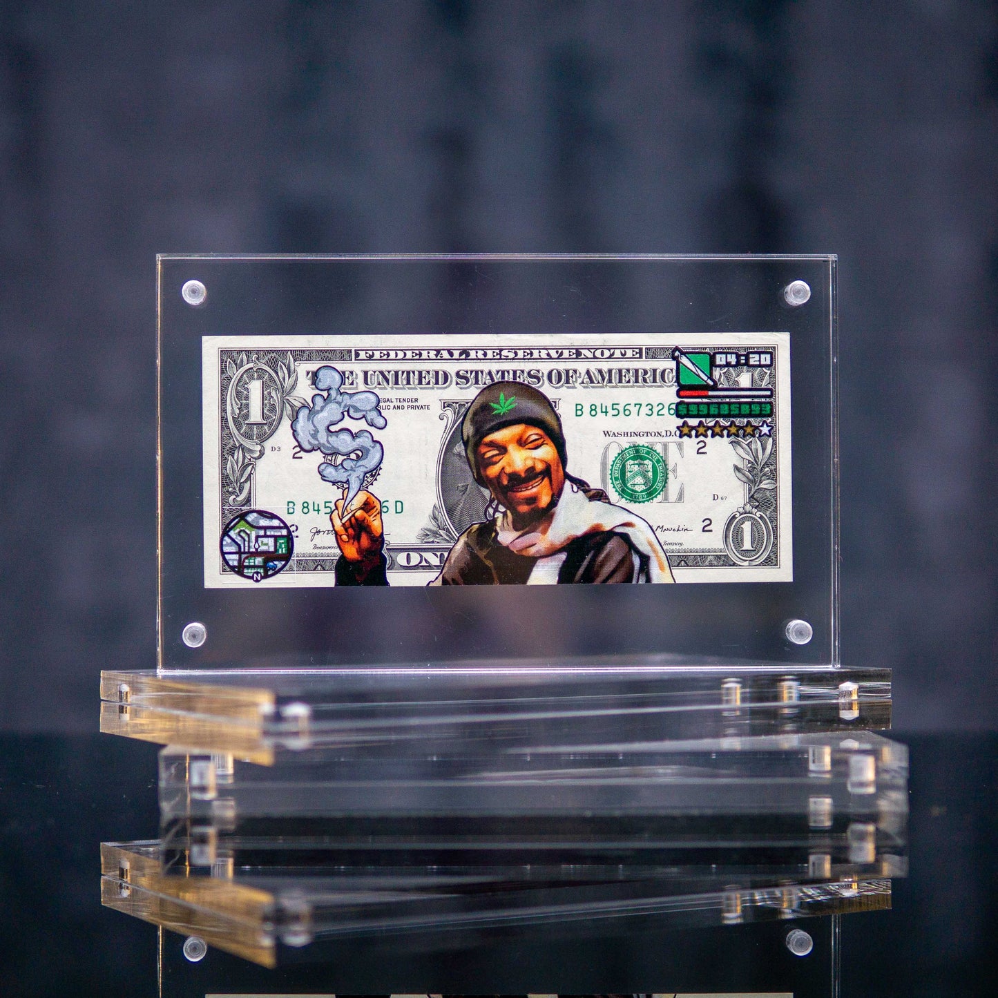 Snoop Dollar Art