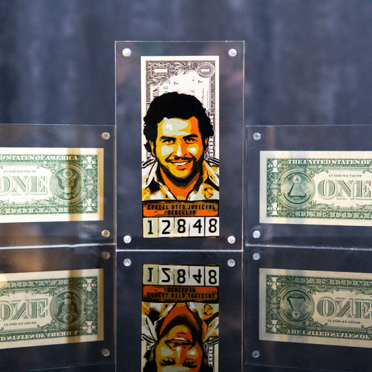 Pablo Escobar Dollar Art