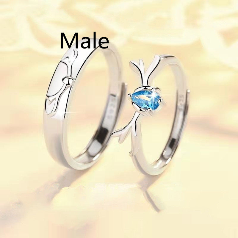 Pareja Un par de anillos simples para hombres y mujeres.