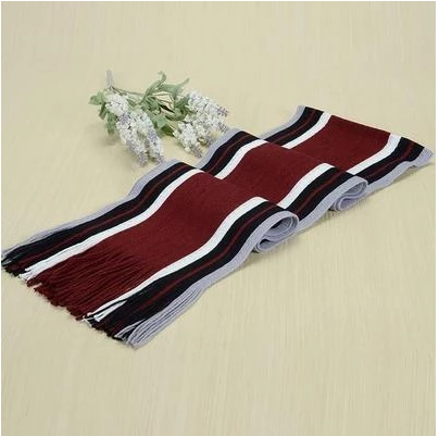 Autumn and winter fringed men's scarf