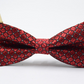 Double bow tie