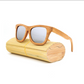 Men sunglasses