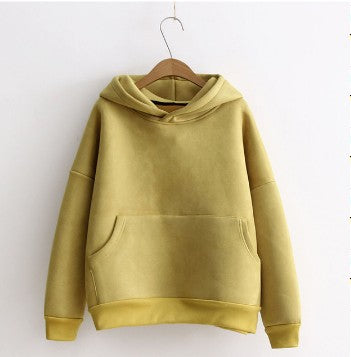 Sudadera con capucha de ante